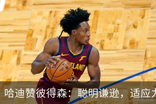 哈迪赞彼得森：聪明谦逊，适应力强